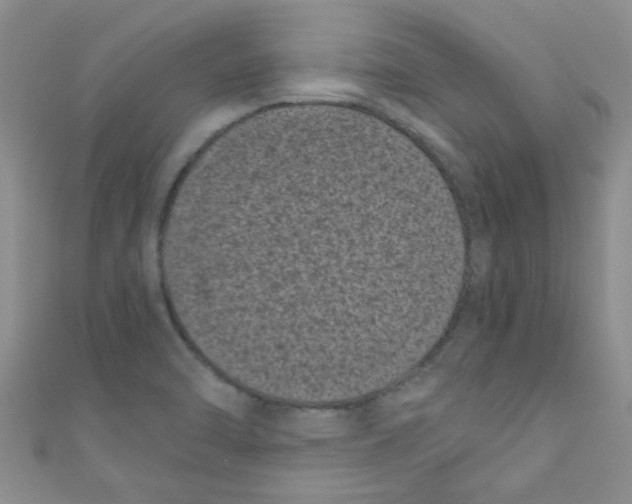 X0000111011470200907171824