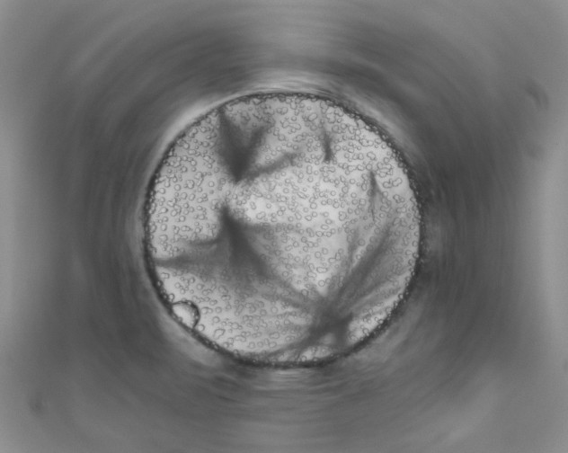 X0000111011471200907171824