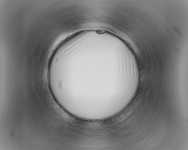 X0000111011472200907171824