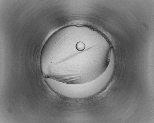 X0000111011473200907171824