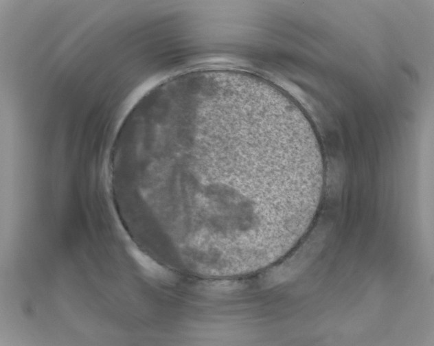 X0000111011474200907171824