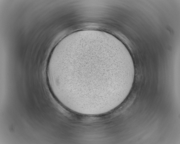 X0000111011475200907171824