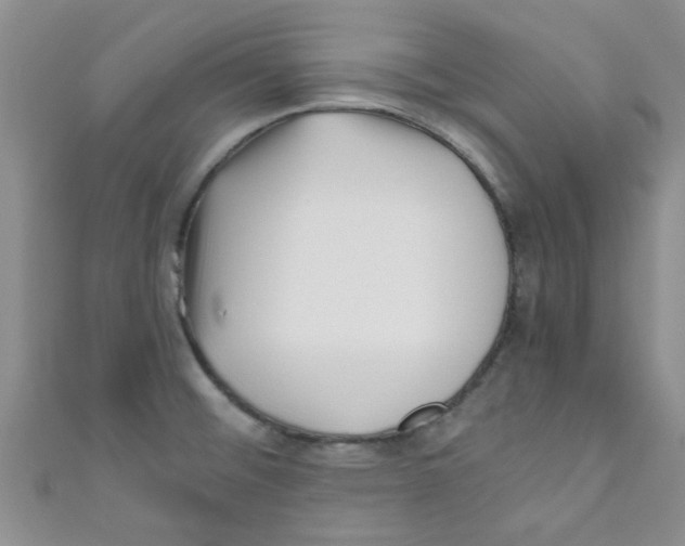 X0000111011476200907171824