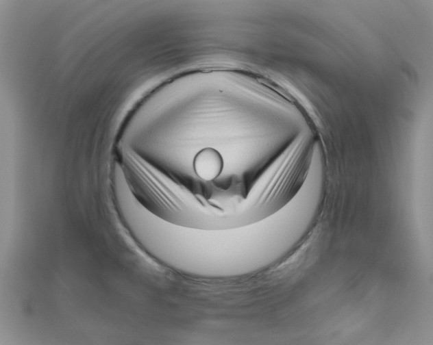 X0000111011477200907171824