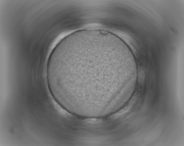 X0000111011478200907171824