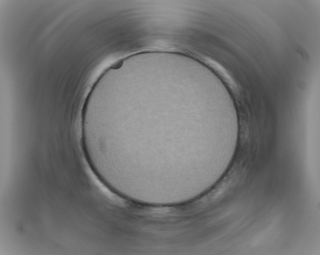 X0000111011479200907171824