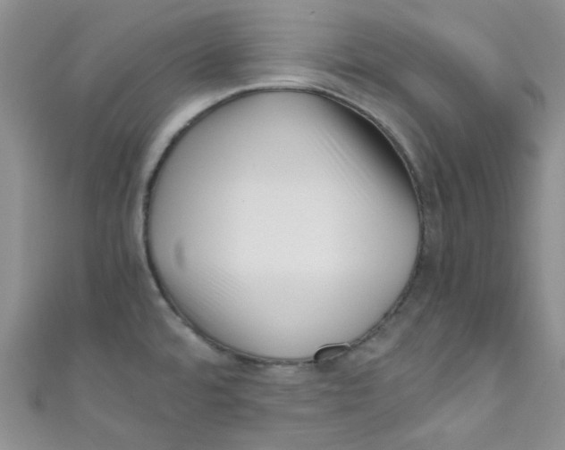X0000111011480200907171824