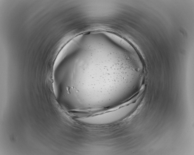 X0000111011481200907171824