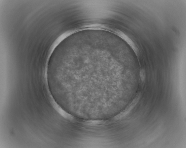 X0000111011482200907171824