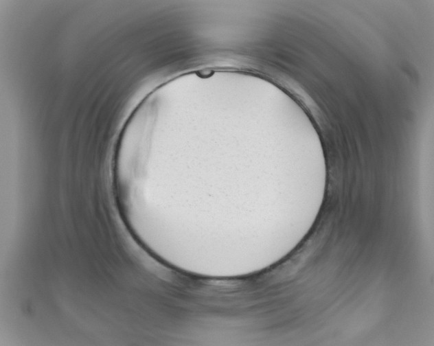 X0000111011483200907171824