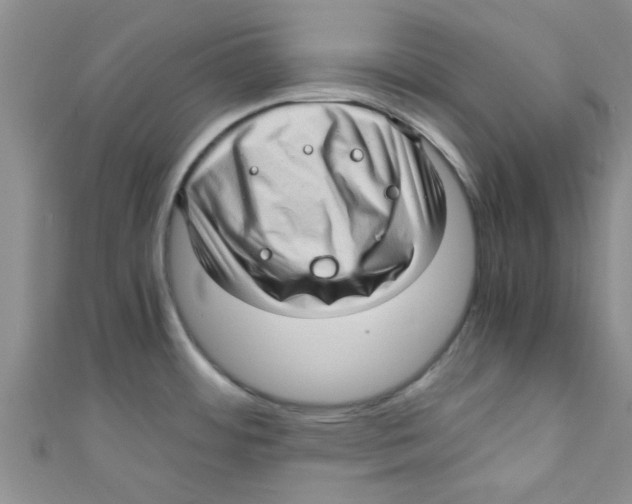 X0000111011484200907171824