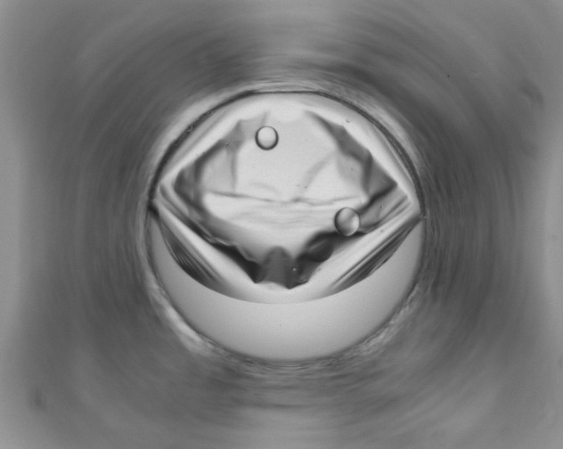 X0000111011485200907171824