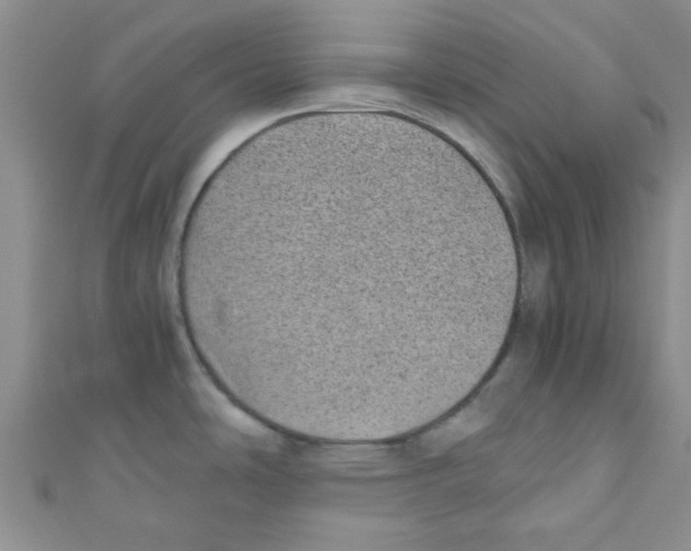 X0000111011486200907171824