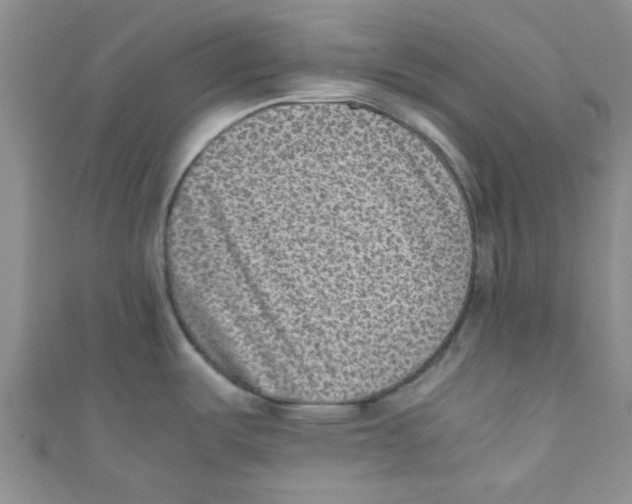 X0000111011487200907171824