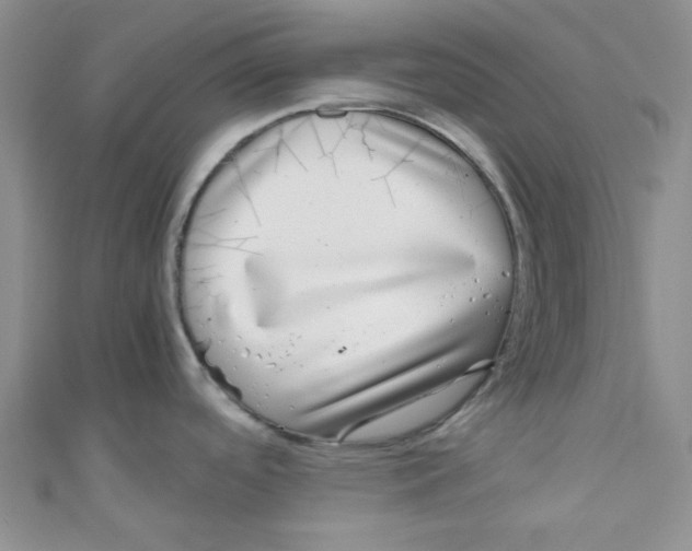 X0000111011488200907171824