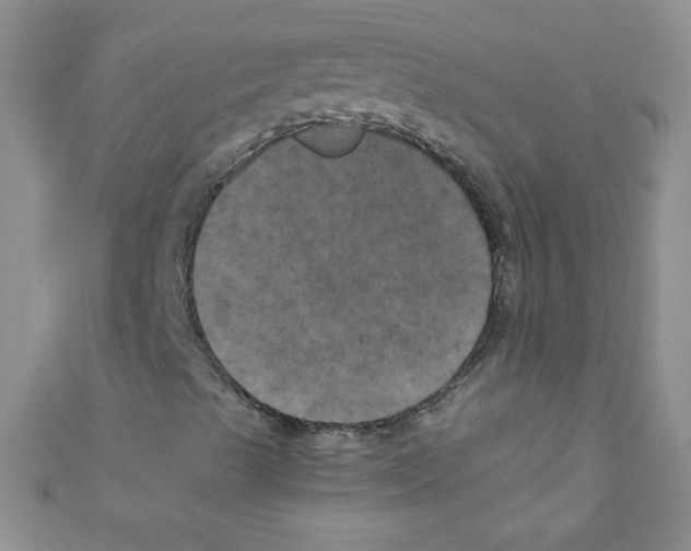 X0000111011489200907171823