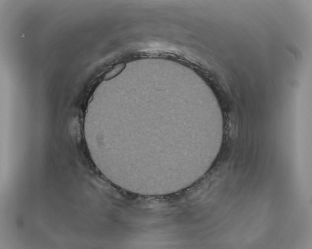X0000111011493200907171823