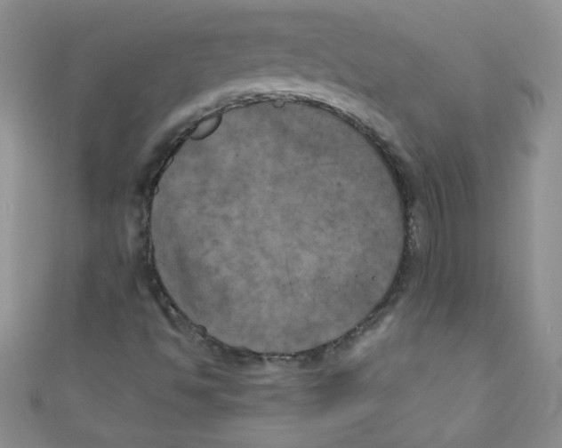 X0000111011494200907171823