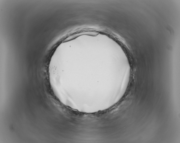 X0000111011496200907171823