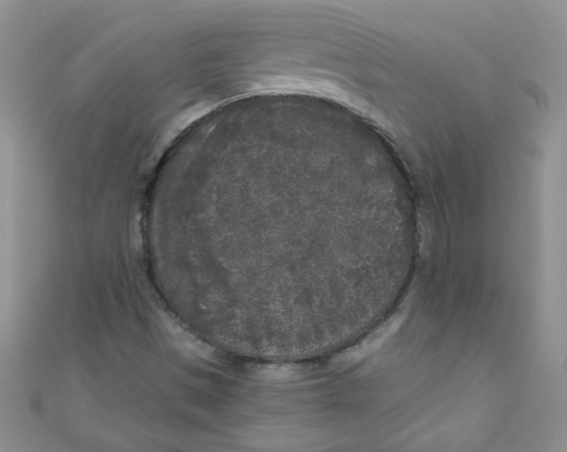 X0000111011497200907171823
