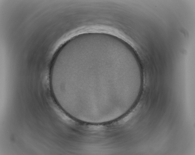 X0000111011498200907171823