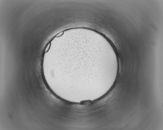 X0000111011500200907171823
