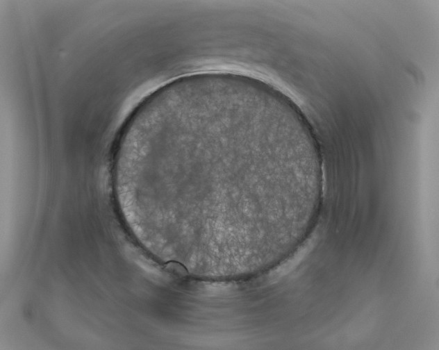 X0000111011501200907171823