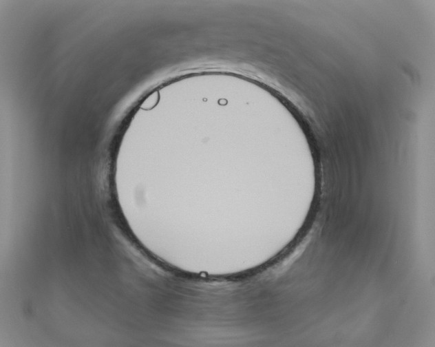X0000111011502200907171823