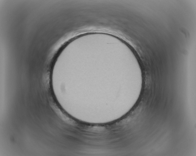 X0000111011503200907171824