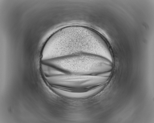 X0000111011504200907171824
