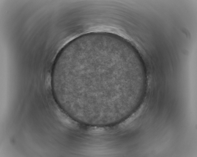 X0000111011505200907171824