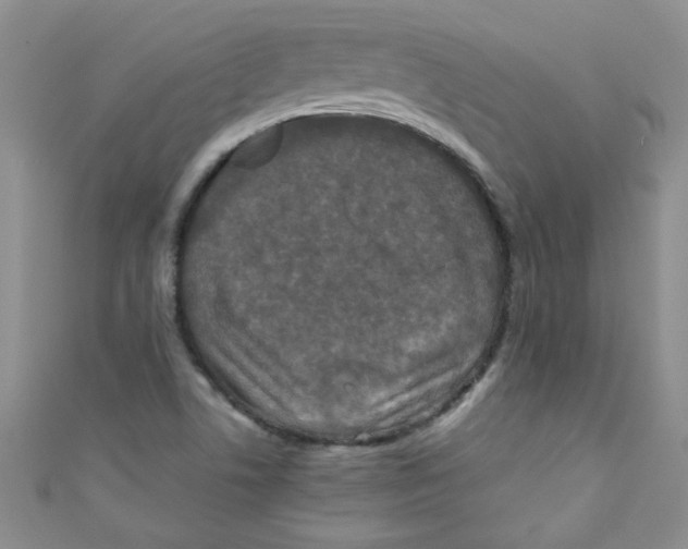 X0000111011506200907171824