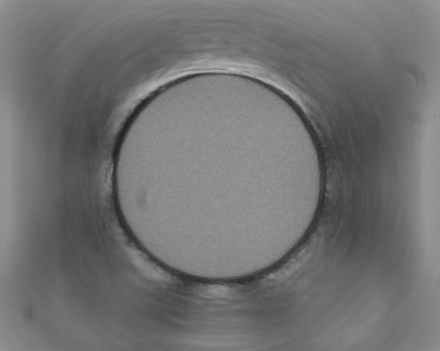 X0000111011507200907171824