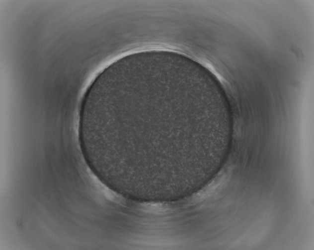 X0000111011508200907171824