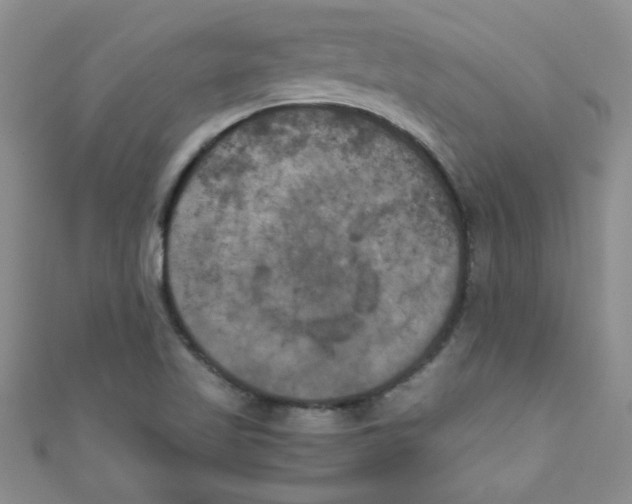 X0000111011509200907171824