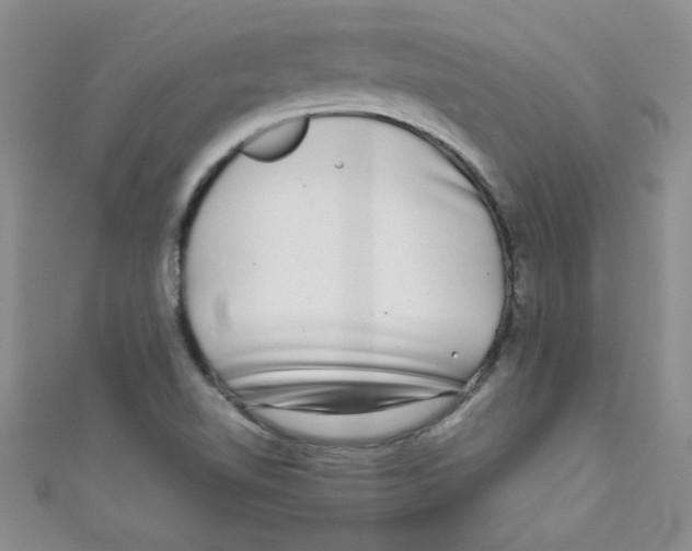 X0000111011510200907171824