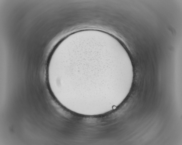 X0000111011511200907171824