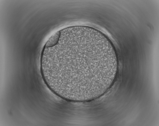 X0000111011512200907171824