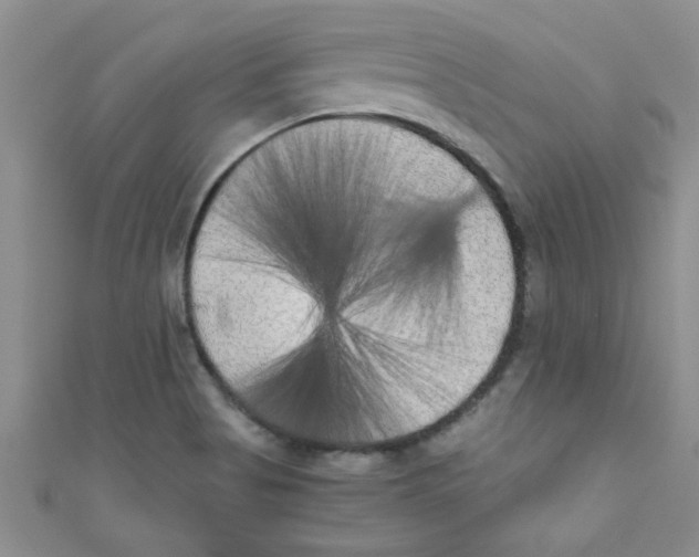 X0000111011513200907171824