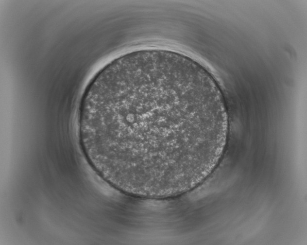 X0000111011514200907171824