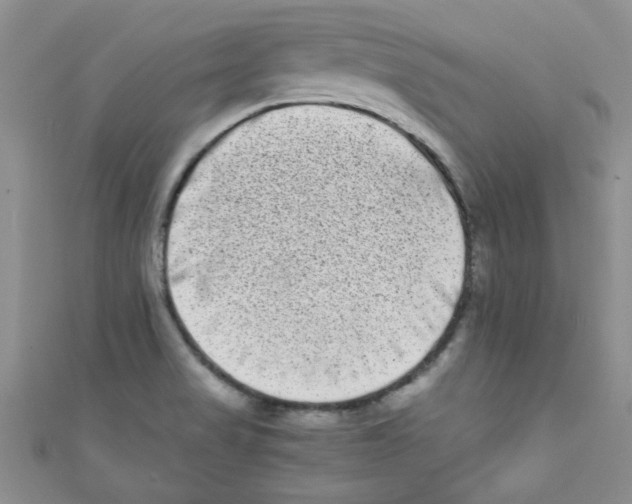 X0000111011517200907171824