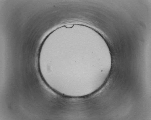 X0000111011518200907171824