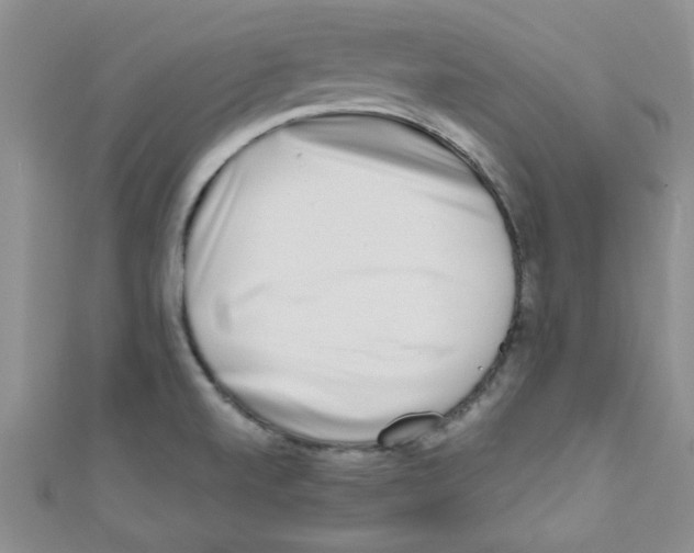 X0000111011520200907171824