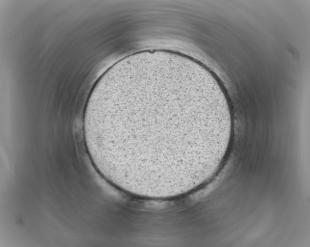 X0000111011521200907171824