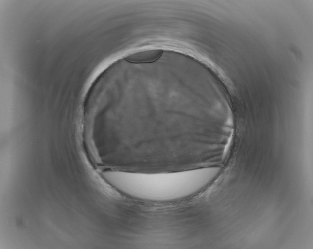 X0000111011522200907171824