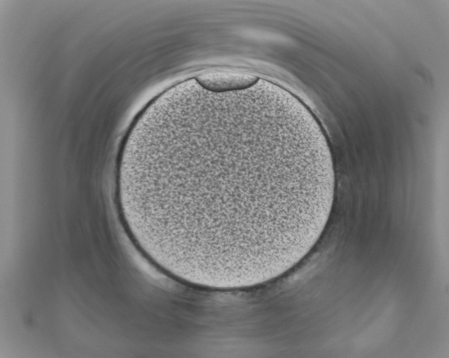 X0000111011523200907171824