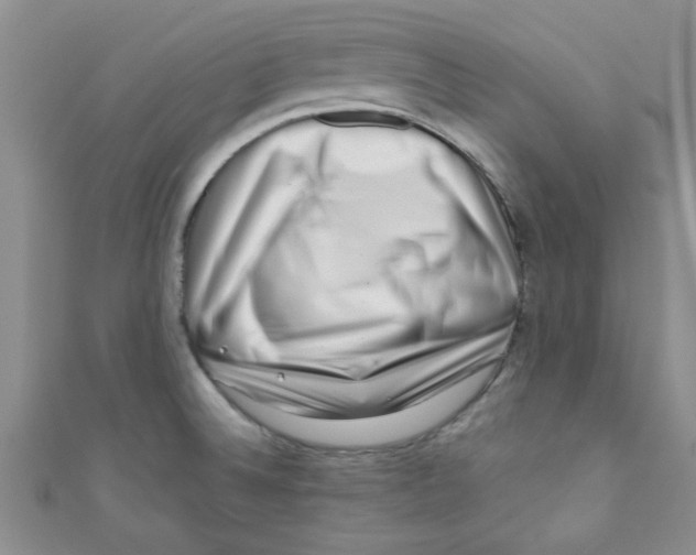 X0000111011524200907171824