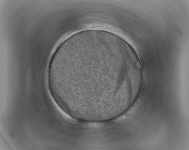 X0000111011525200907171824