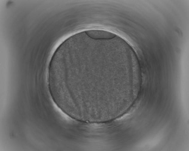 X0000111011527200907171824