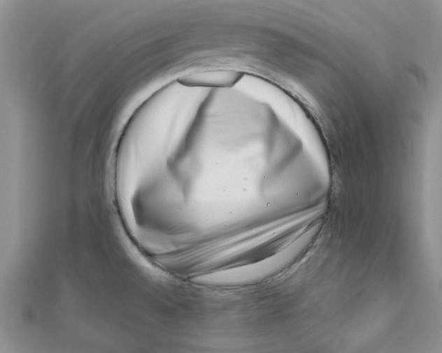 X0000111011528200907171824